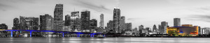South Florida Security Services